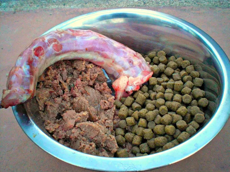Gamelle de viande et de croquettes pour chien